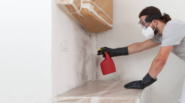 Professional Attic Mold Remediation technician working in Laurel, VA