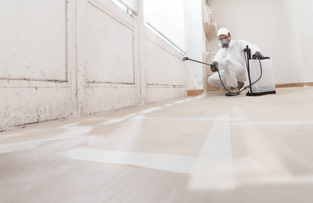 24/7 Emergency Attic Mold Remediation experts in Laurel, VA