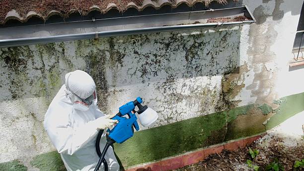 Top rated local Attic Mold Remediation specialists in Laurel, VA